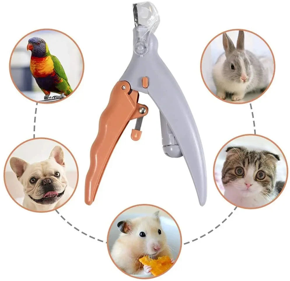 Professionelle Pet Nagel Clipper Schere Mit LED Licht Katze Hund Nagel Clippers Werkzeug Schere Nagel Toeclaw Cutter Schere Pet Suppl